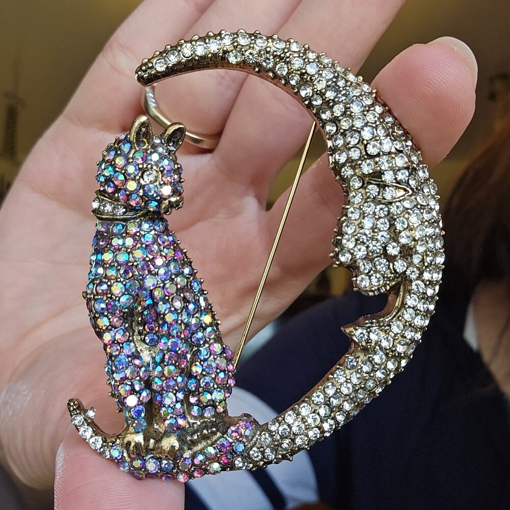 Rhinestone Cat on Crescent Moon Brooch – Multicolor